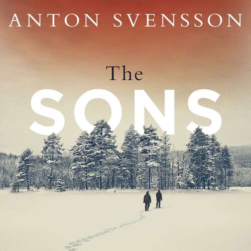 Book cover of The Sons: The completely thrilling follow-up to crime bestseller The Father (Made in Sweden)