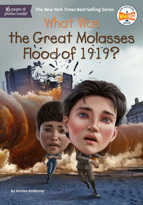 Book cover of What Was the Great Molasses Flood of 1919? (What Was?)