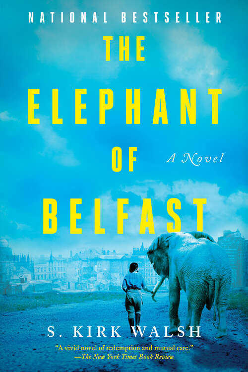 Book cover of The Elephant of Belfast: A Novel