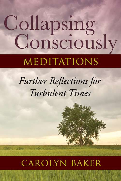 Book cover of Collapsing Consciously Meditations