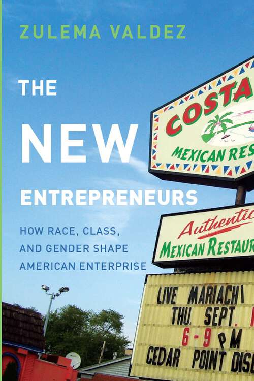 Book cover of The New Entrepreneurs: How Race, Class, and Gender Shape American Enterprise