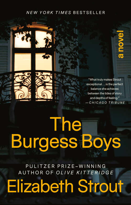 Book cover of The Burgess Boys