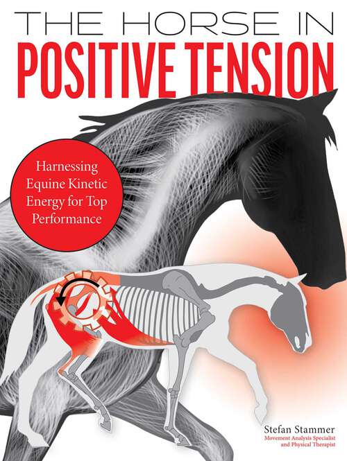 Book cover of Horse in Positive Tension
