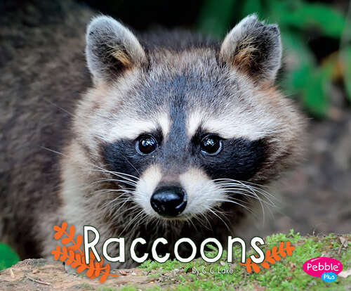 Book cover of Raccoons (Woodland Wildlife Ser.)