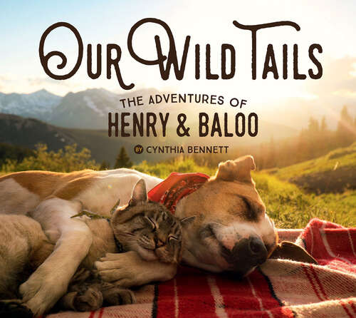 Book cover of Our Wild Tails: The Adventures of Henry & Baloo