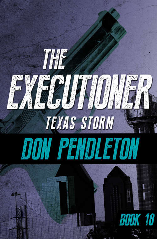 Book cover of Texas Storm