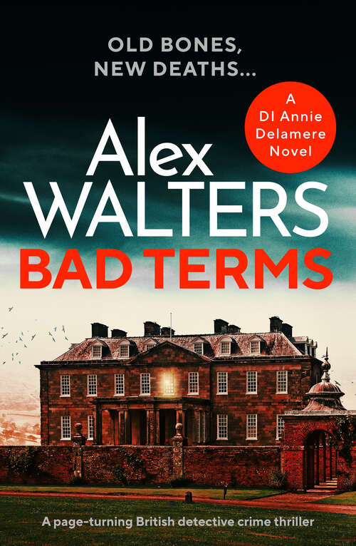 Book cover of Bad Terms: A page-turning British detective crime thriller (Detective Annie Delamere)
