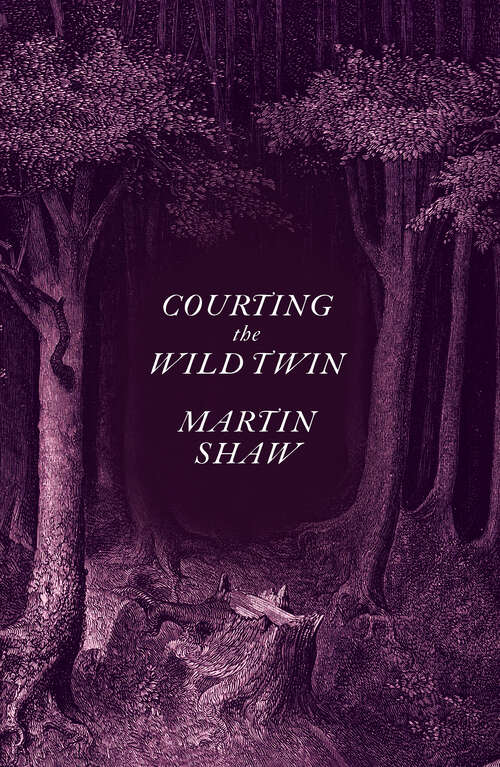 Book cover of Courting the Wild Twin