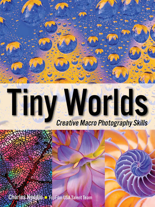 Book cover of Tiny Worlds
