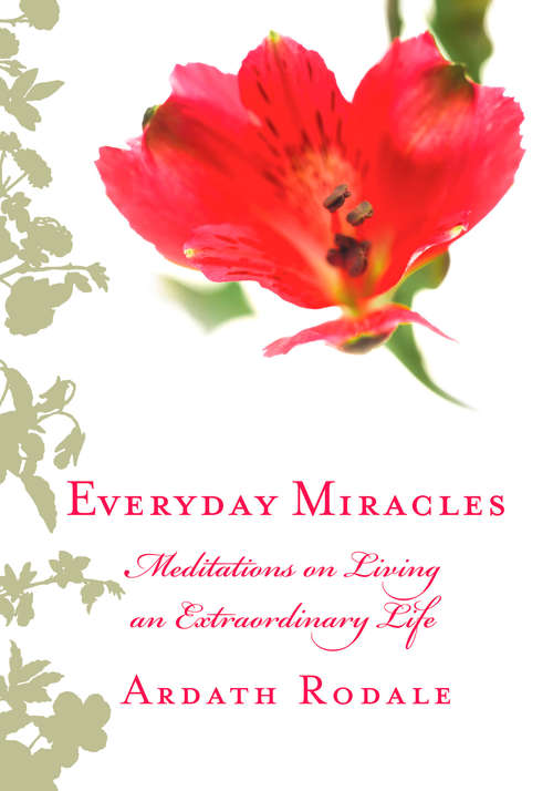Book cover of Everyday Miracles: Meditations on Living an Extraordinary Life