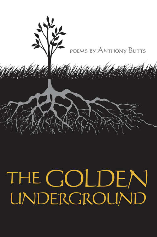 Book cover of The Golden Underground: Golden Underground