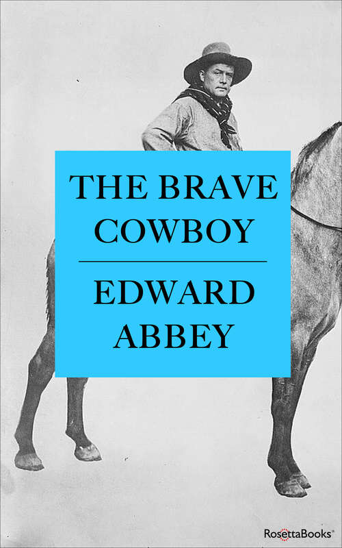 Book cover of The Brave Cowboy: An Old Tale in a New Time (Digital Original)