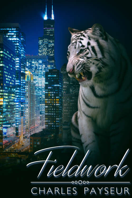 Book cover of Fieldwork