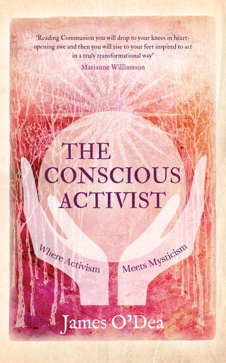 Book cover of The Conscious Activist