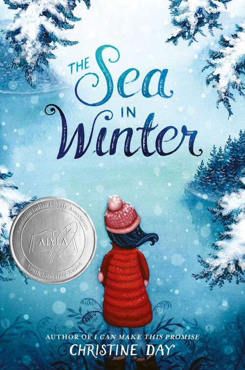 Book cover of The Sea in Winter