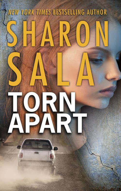 Book cover of Torn Apart: Blown Away Torn Apart Swept Aside (The Storm Front Novels #2)