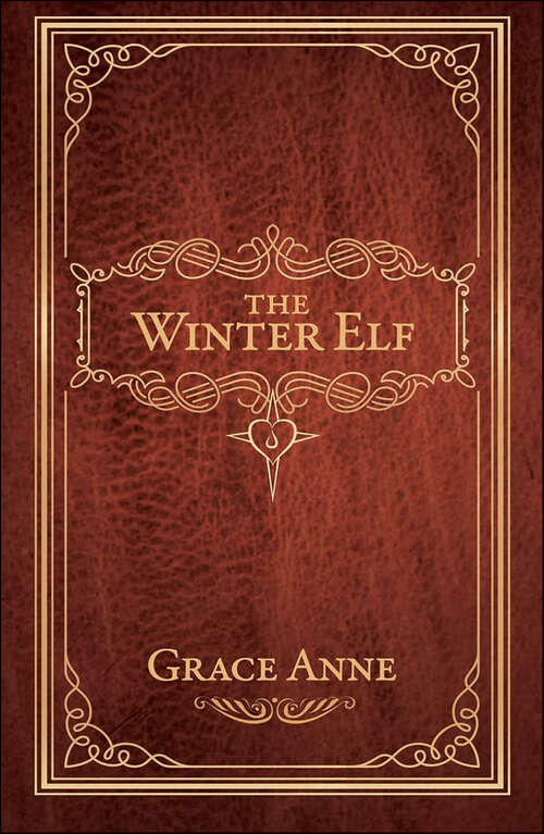 Book cover of The Winter Elf