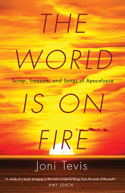 Book cover of The World Is on Fire