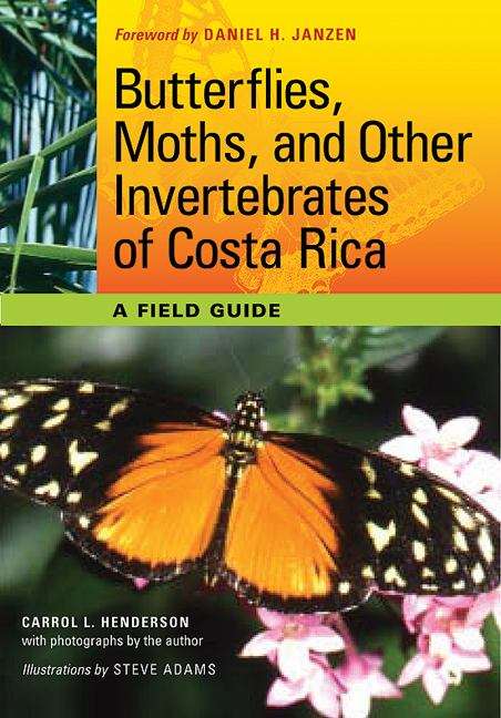 Butterflies, Moths, and Other Invertebrates of Costa Rica