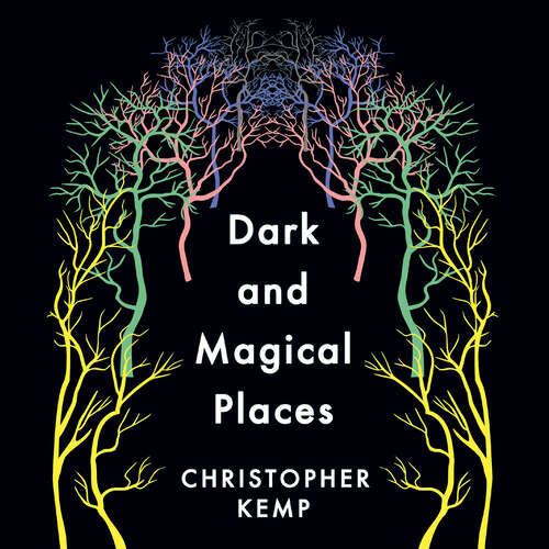 Book cover of Dark and Magical Places: The Neuroscience of How We Navigate