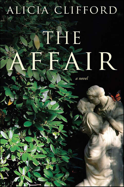 Book cover of The Affair: A Novel