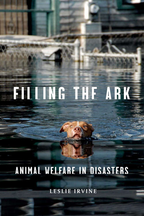 Book cover of Filling the Ark: Animal Welfare in Disasters (Animals and Ethics)