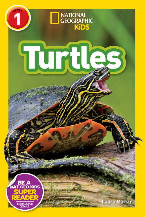 Book cover of Turtles (Readers)