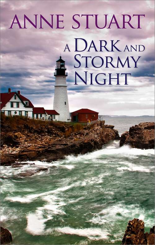 Book cover of A Dark and Stormy Night
