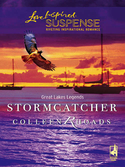 Book cover of Stormcatcher