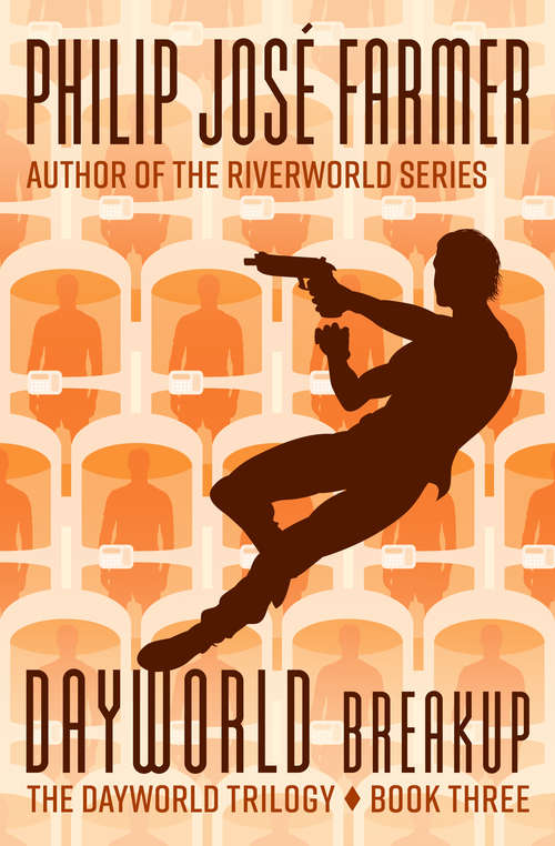 Book cover of Dayworld Breakup