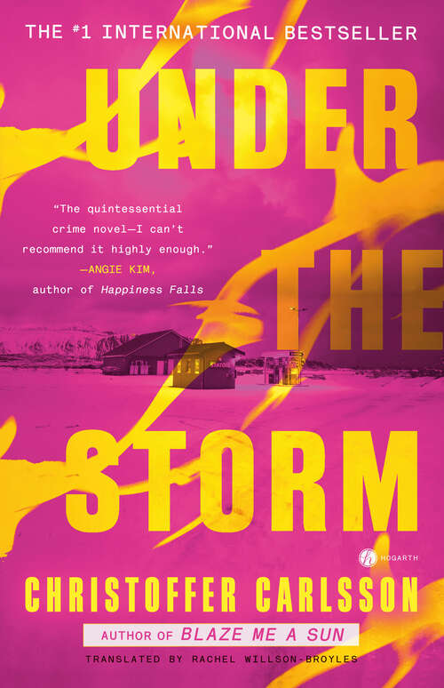 Book cover of Under the Storm: A Novel