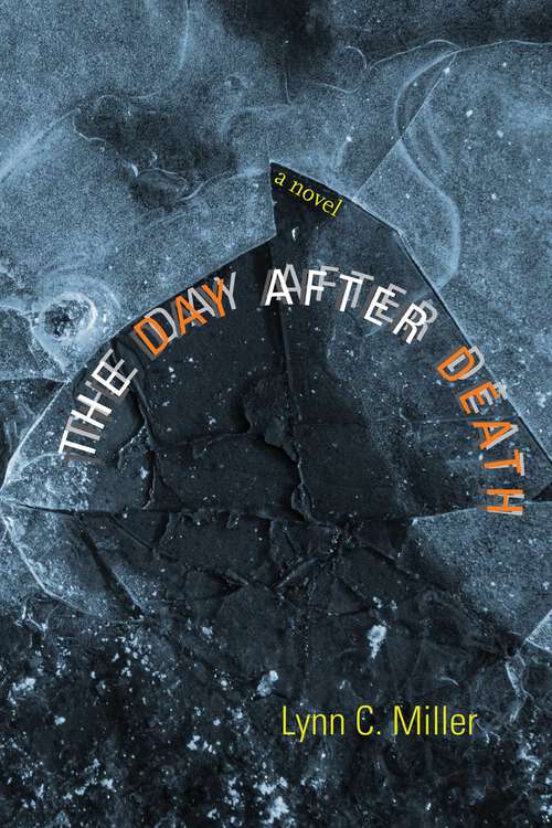 Book cover of The Day after Death: A Novel