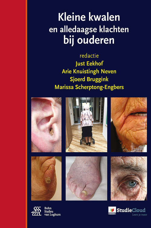 Book cover of Kleine kwalen en alledaagse klachten bij ouderen (1st ed. 2016)