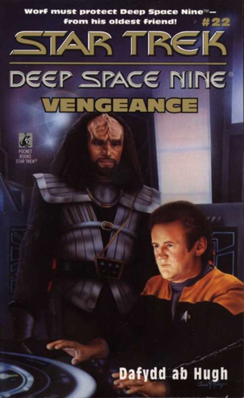 Book cover of St Ds9 #22 Vengeance