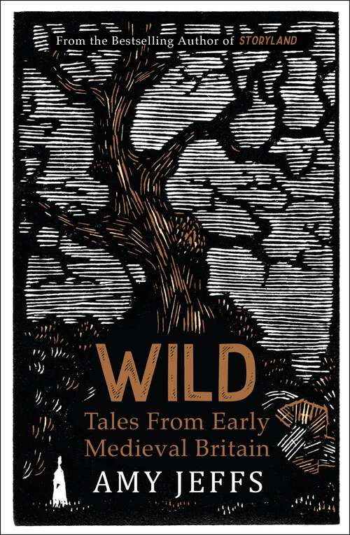 Book cover of Wild: Tales from Early Medieval Britain