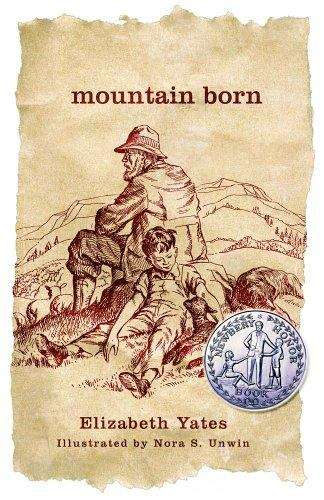 Book cover of Mountain Born
