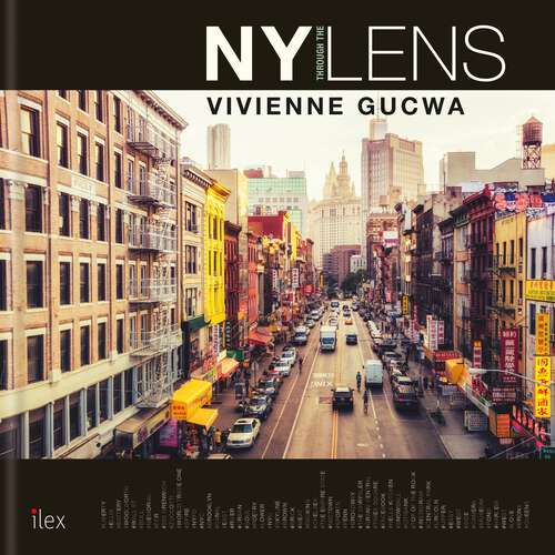 Book cover of New York Through the Lens