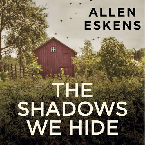 Book cover of The Shadows We Hide