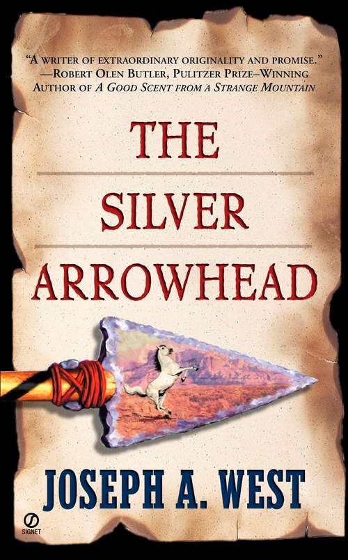 Book cover of The Silver Arrowhead