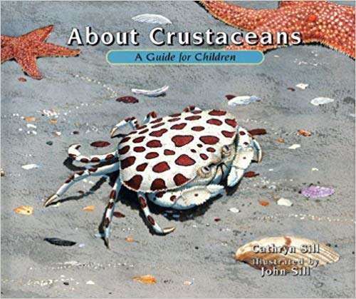 Book cover of About Crustaceans: A Guide for Children