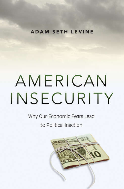 Book cover of American Insecurity