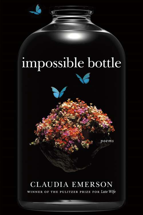 Book cover of Impossible Bottle: Poems (Southern Messenger Poets)
