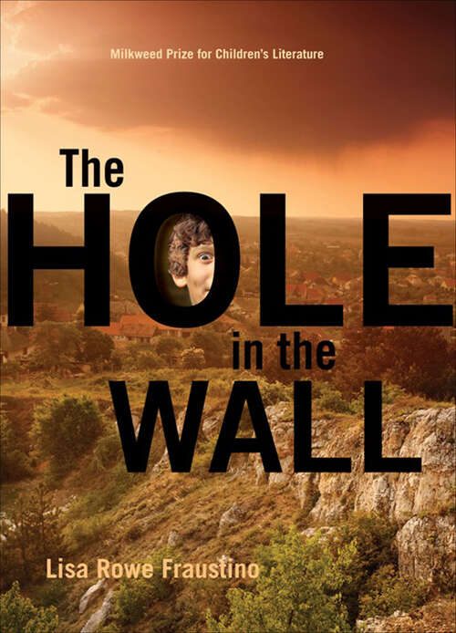 Book cover of The Hole in the Wall