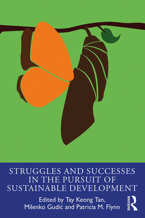 Struggles and Successes in the Pursuit of Sustainable Development (The Principles for Responsible Management Education Series)