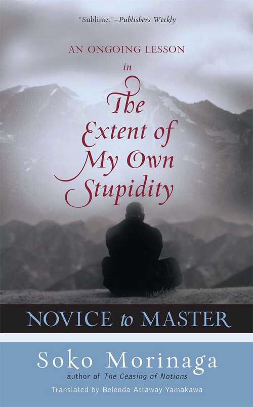 Book cover of Novice to Master