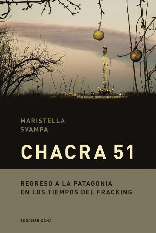 Chacra 51: Regreso a la Patagonia en los tiempos del fracking