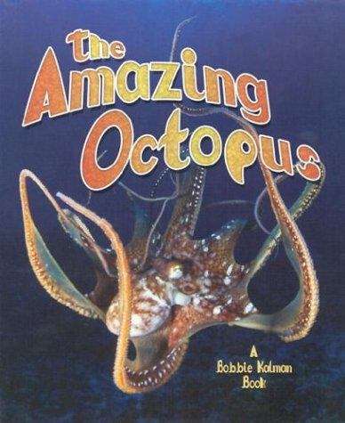 Book cover of The Amazing Octopus
