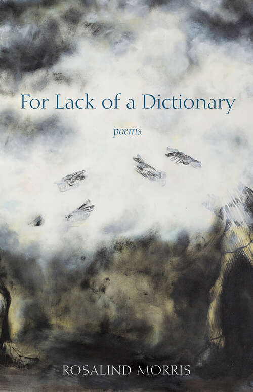 Book cover of For Lack of a Dictionary (1)