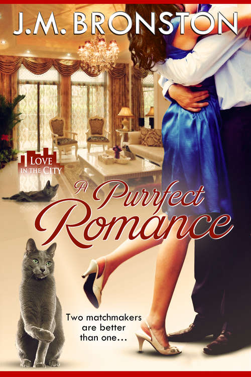 Book cover of A Purrfect Romance