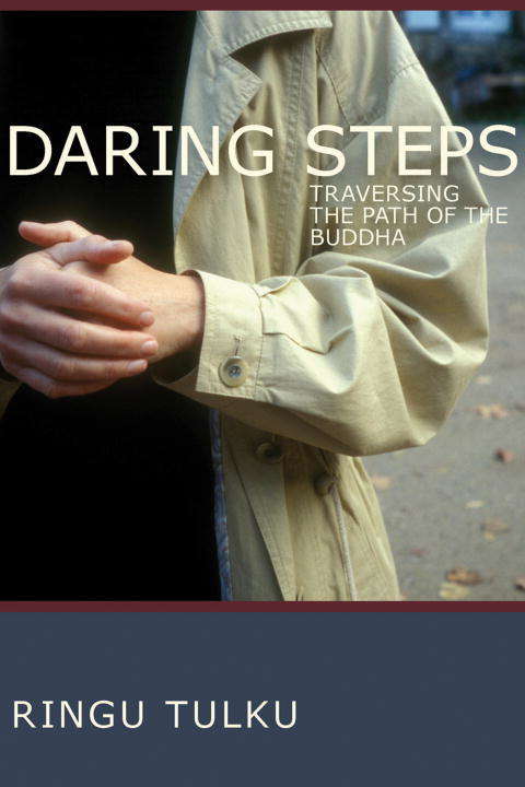 Book cover of Daring Steps: Traversing the Path of the Buddha